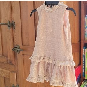 Kate Spade Dress Sz 2 "Skirt The Rules" Girls Rose Gold